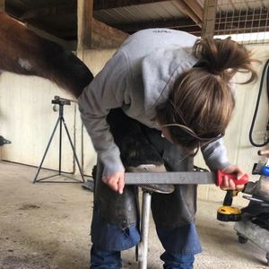 Meet your Posher, Karina